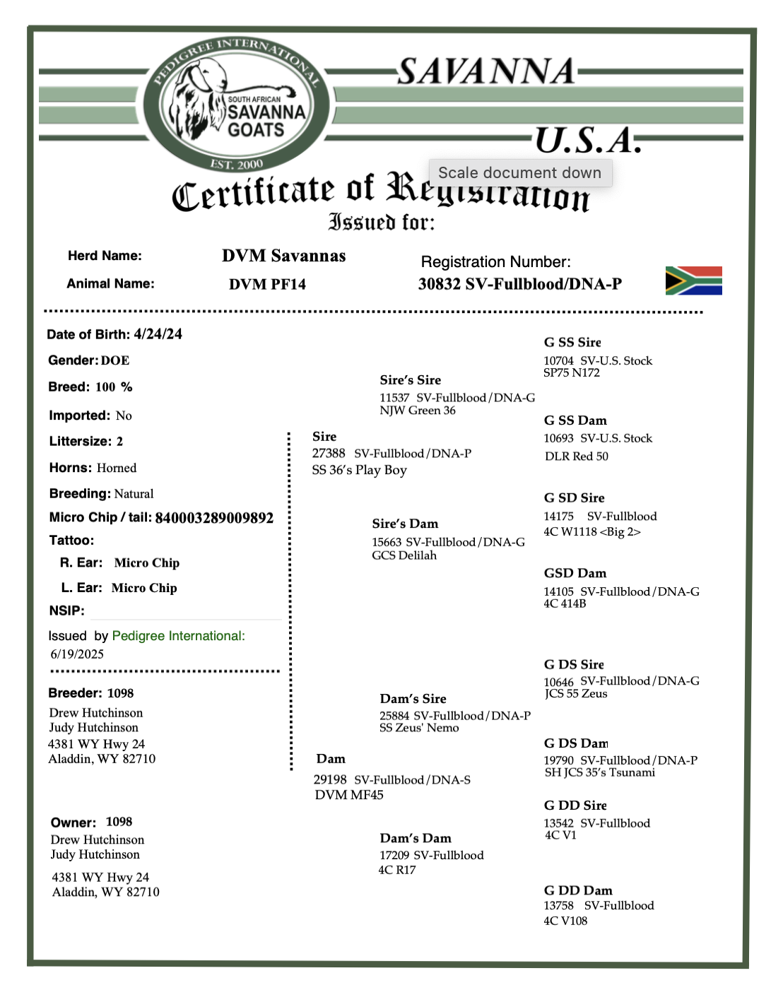 Screenshot 2025-07-07 at 8.11.55 AM